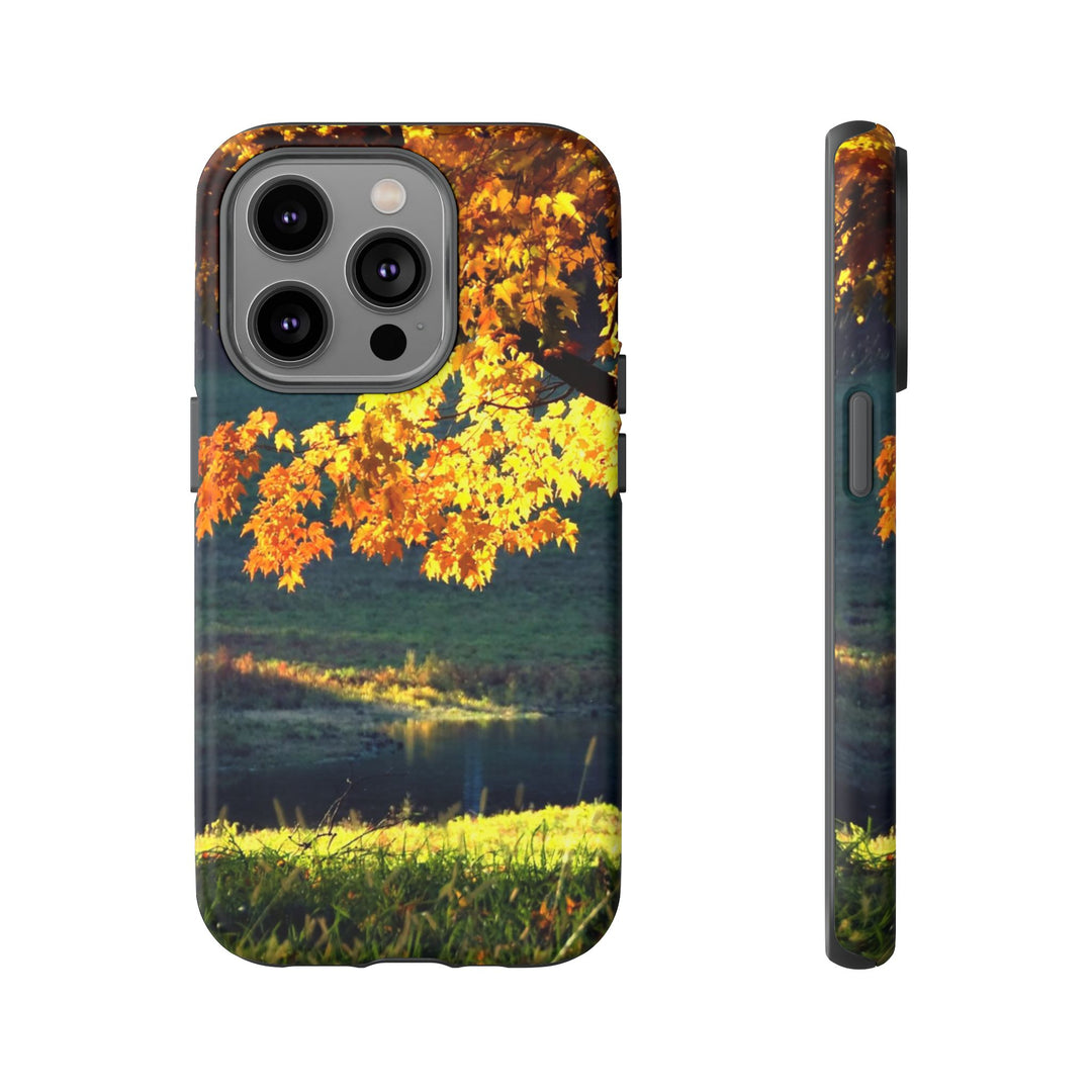 Impact Resistant, Fall Leaves Collage, Cute Phone Cases for Samsung S24, S23, S22, S21, IPhone 15 pro Iphone 14 pro Iphone 13 IPhone 12 Iphone 11 - Studio40ParkLane