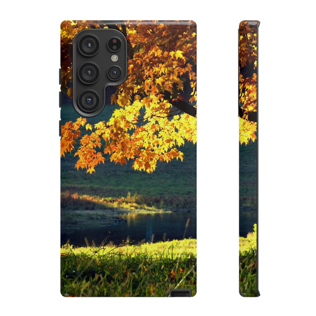 Impact Resistant, Fall Leaves Collage, Cute Phone Cases for Samsung S24, S23, S22, S21, IPhone 15 pro Iphone 14 pro Iphone 13 IPhone 12 Iphone 11 - Studio40ParkLane