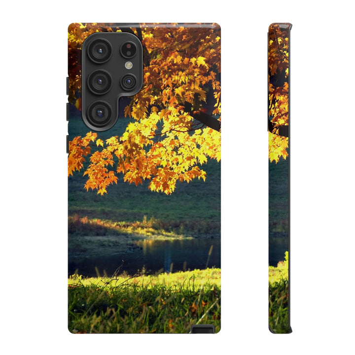 Impact Resistant, Fall Leaves Collage, Cute Phone Cases for Samsung S24, S23, S22, S21, IPhone 15 pro Iphone 14 pro Iphone 13 IPhone 12 Iphone 11 - Studio40ParkLane