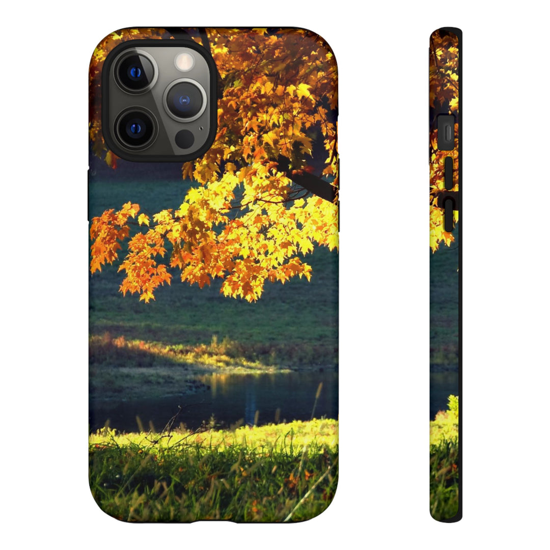 Impact Resistant, Fall Leaves Collage, Cute Phone Cases for Samsung S24, S23, S22, S21, IPhone 15 pro Iphone 14 pro Iphone 13 IPhone 12 Iphone 11 - Studio40ParkLane