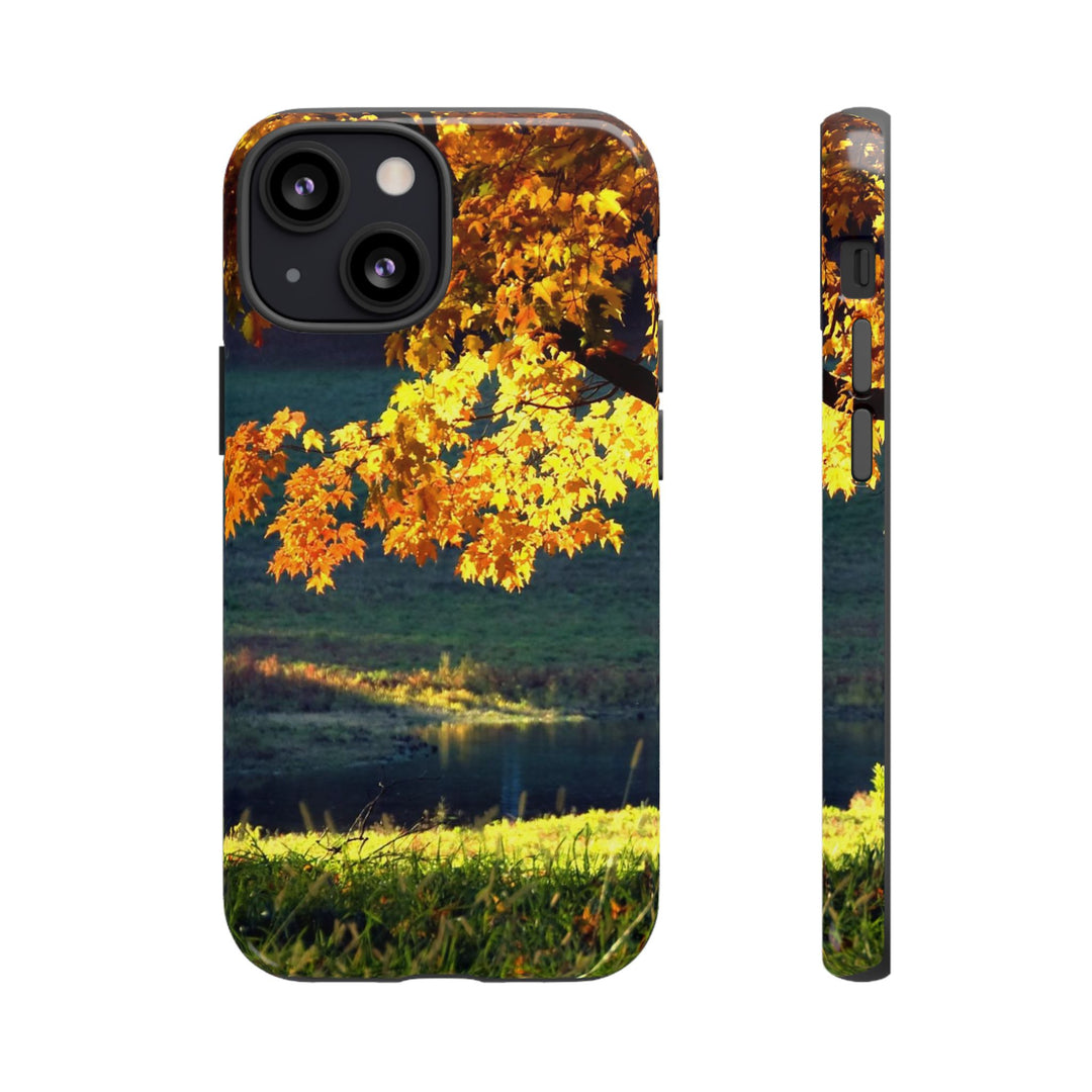 Impact Resistant, Fall Leaves Collage, Cute Phone Cases for Samsung S24, S23, S22, S21, IPhone 15 pro Iphone 14 pro Iphone 13 IPhone 12 Iphone 11 - Studio40ParkLane