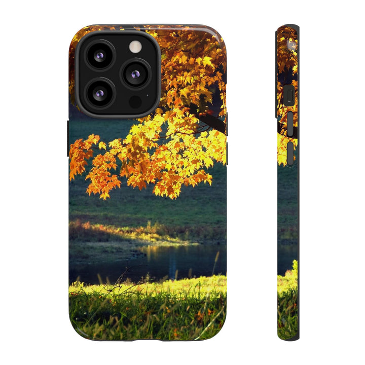 Impact Resistant, Fall Leaves Collage, Cute Phone Cases for Samsung S24, S23, S22, S21, IPhone 15 pro Iphone 14 pro Iphone 13 IPhone 12 Iphone 11 - Studio40ParkLane