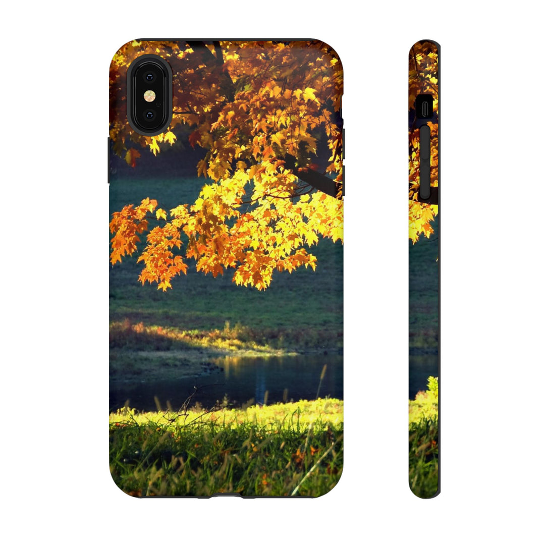 Impact Resistant, Fall Leaves Collage, Cute Phone Cases for Samsung S24, S23, S22, S21, IPhone 15 pro Iphone 14 pro Iphone 13 IPhone 12 Iphone 11 - Studio40ParkLane