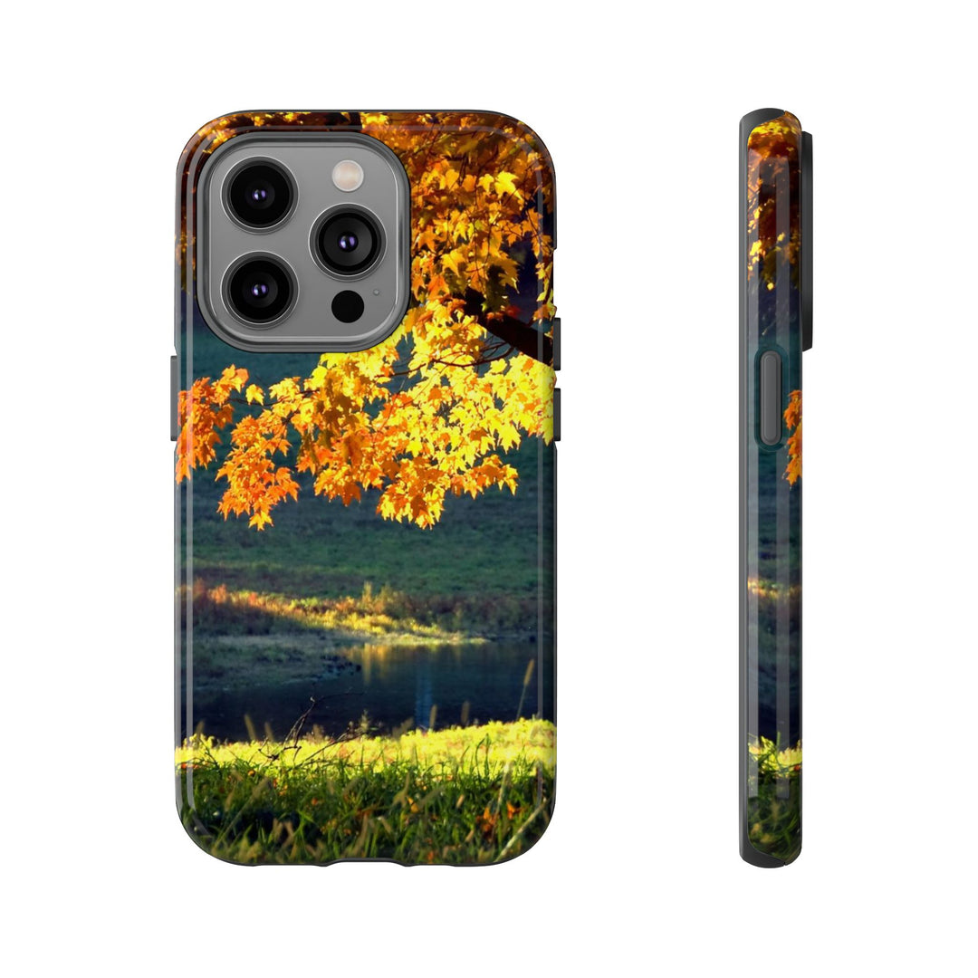 Impact Resistant, Fall Leaves Collage, Cute Phone Cases for Samsung S24, S23, S22, S21, IPhone 15 pro Iphone 14 pro Iphone 13 IPhone 12 Iphone 11 - Studio40ParkLane