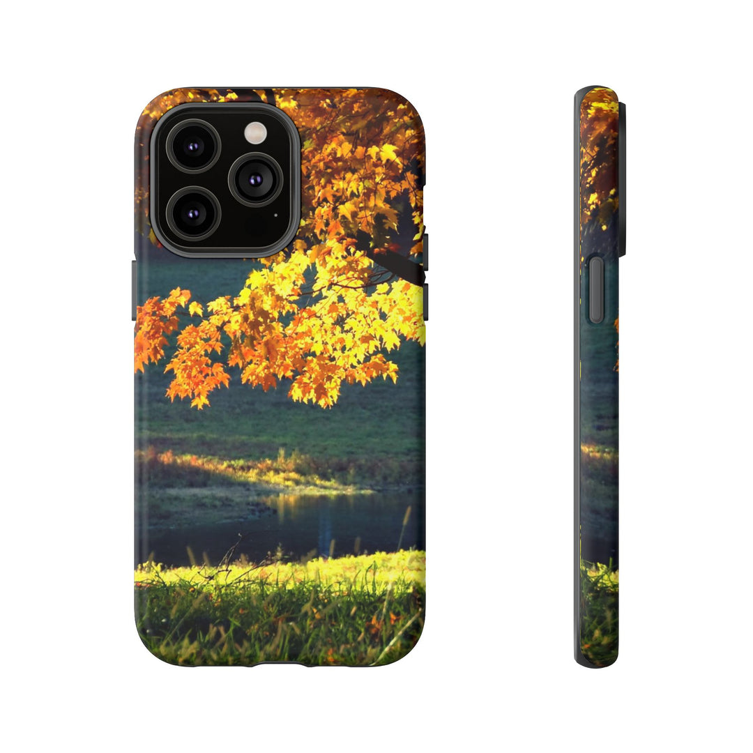 Impact Resistant, Fall Leaves Collage, Cute Phone Cases for Samsung S24, S23, S22, S21, IPhone 15 pro Iphone 14 pro Iphone 13 IPhone 12 Iphone 11 - Studio40ParkLane