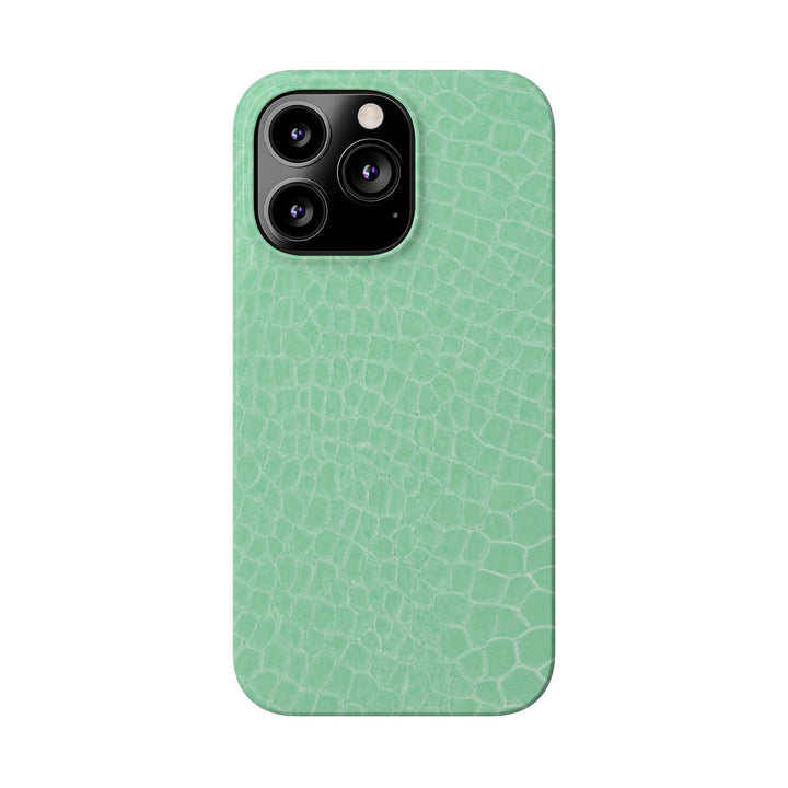 Slim Non Leather Mint Color Pattern Gift for Her Cute Phone Cases for Iphone 16 Pro Max | iPhone 15 Case | iPhone 15 Pro Max Case, Iphone 14, 13, 12, 11, 10, 8, 7 - Studio40ParkLane