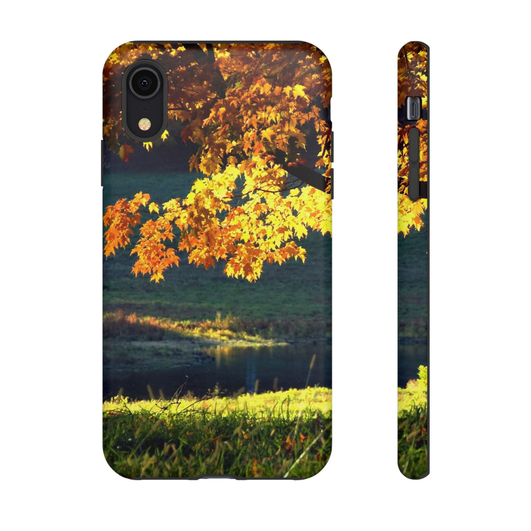 Impact Resistant, Fall Leaves Collage, Cute Phone Cases for Samsung S24, S23, S22, S21, IPhone 15 pro Iphone 14 pro Iphone 13 IPhone 12 Iphone 11 - Studio40ParkLane