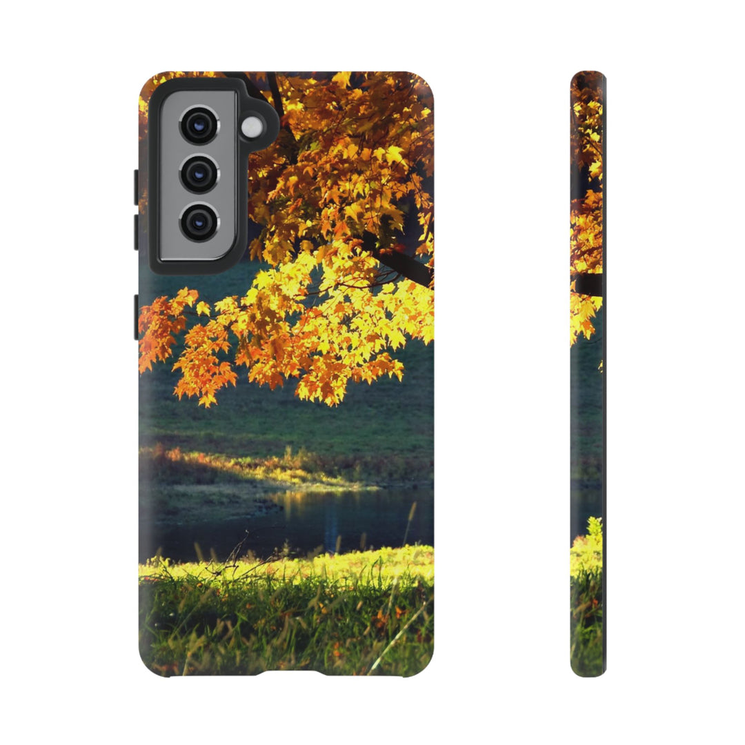 Impact Resistant, Fall Leaves Collage, Cute Phone Cases for Samsung S24, S23, S22, S21, IPhone 15 pro Iphone 14 pro Iphone 13 IPhone 12 Iphone 11 - Studio40ParkLane