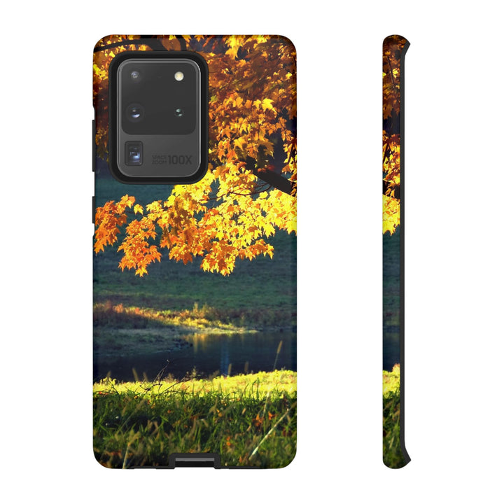Impact Resistant, Fall Leaves Collage, Cute Phone Cases for Samsung S24, S23, S22, S21, IPhone 15 pro Iphone 14 pro Iphone 13 IPhone 12 Iphone 11 - Studio40ParkLane