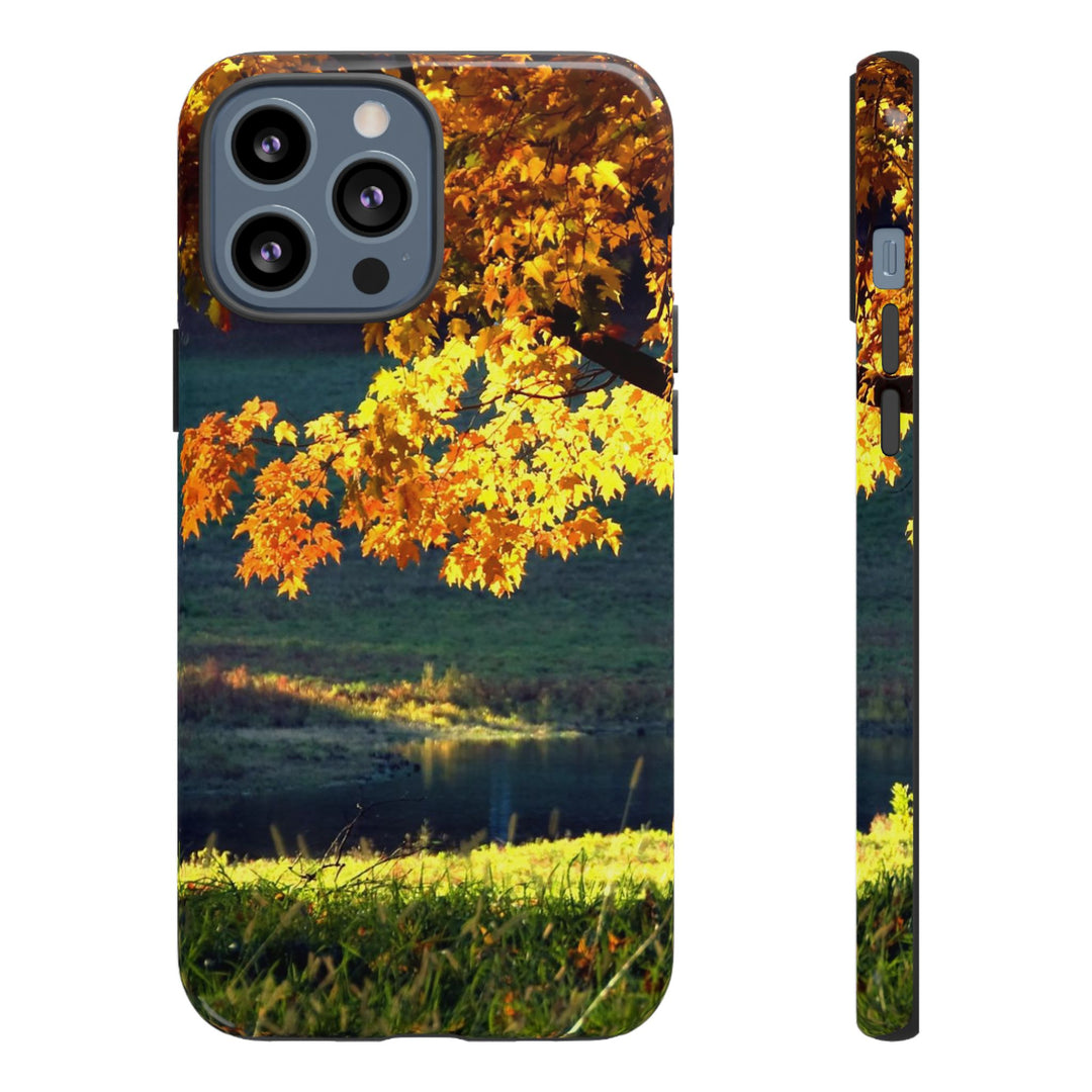Impact Resistant, Fall Leaves Collage, Cute Phone Cases for Samsung S24, S23, S22, S21, IPhone 15 pro Iphone 14 pro Iphone 13 IPhone 12 Iphone 11 - Studio40ParkLane