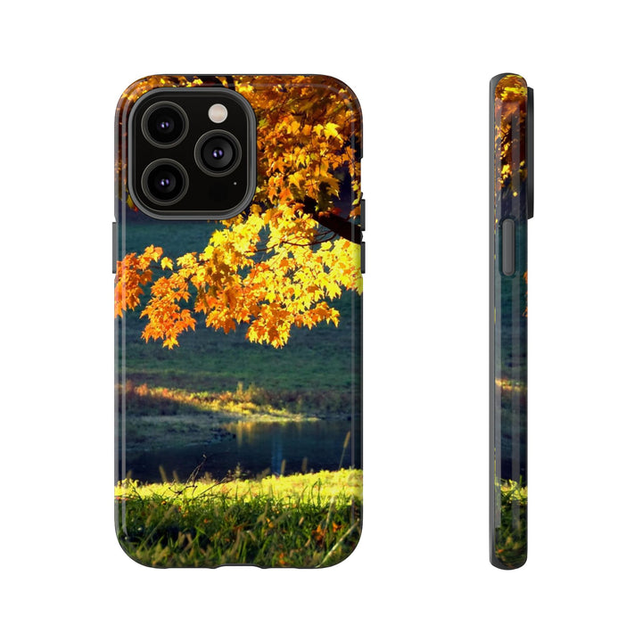 Impact Resistant, Fall Leaves Collage, Cute Phone Cases for Samsung S24, S23, S22, S21, IPhone 15 pro Iphone 14 pro Iphone 13 IPhone 12 Iphone 11 - Studio40ParkLane