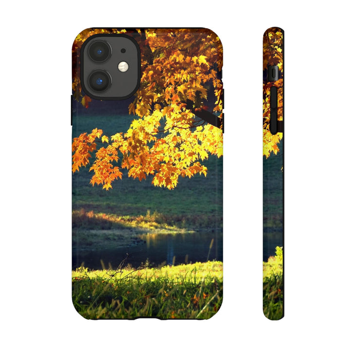 Impact Resistant, Fall Leaves Collage, Cute Phone Cases for Samsung S24, S23, S22, S21, IPhone 15 pro Iphone 14 pro Iphone 13 IPhone 12 Iphone 11 - Studio40ParkLane