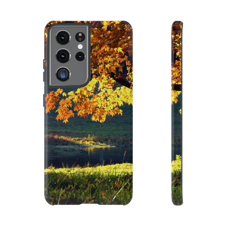 Impact Resistant, Fall Leaves Collage, Cute Phone Cases for Samsung S24, S23, S22, S21, IPhone 15 pro Iphone 14 pro Iphone 13 IPhone 12 Iphone 11 - Studio40ParkLane