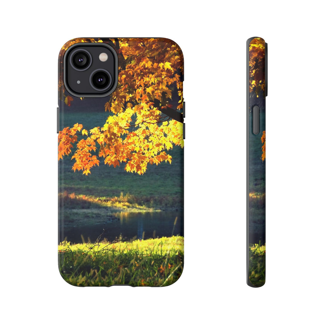 Impact Resistant, Fall Leaves Collage, Cute Phone Cases for Samsung S24, S23, S22, S21, IPhone 15 pro Iphone 14 pro Iphone 13 IPhone 12 Iphone 11 - Studio40ParkLane