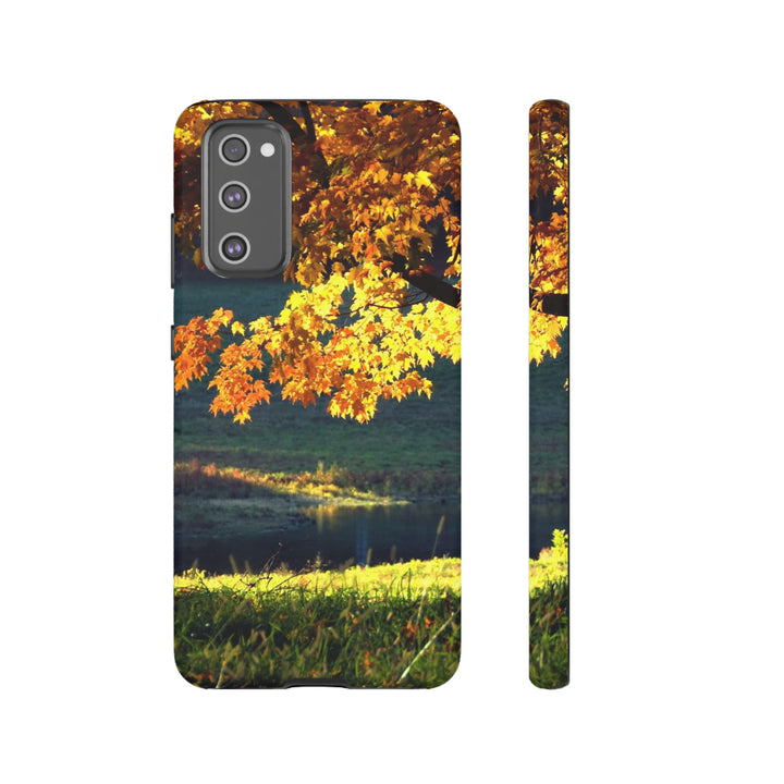Impact Resistant, Fall Leaves Collage, Cute Phone Cases for Samsung S24, S23, S22, S21, IPhone 15 pro Iphone 14 pro Iphone 13 IPhone 12 Iphone 11 - Studio40ParkLane