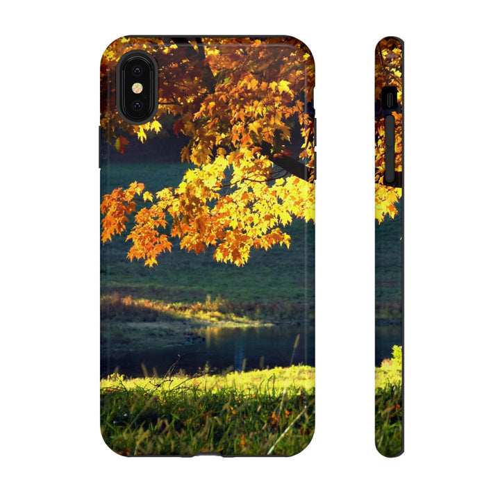 Impact Resistant, Fall Leaves Collage, Cute Phone Cases for Samsung S24, S23, S22, S21, IPhone 15 pro Iphone 14 pro Iphone 13 IPhone 12 Iphone 11 - Studio40ParkLane