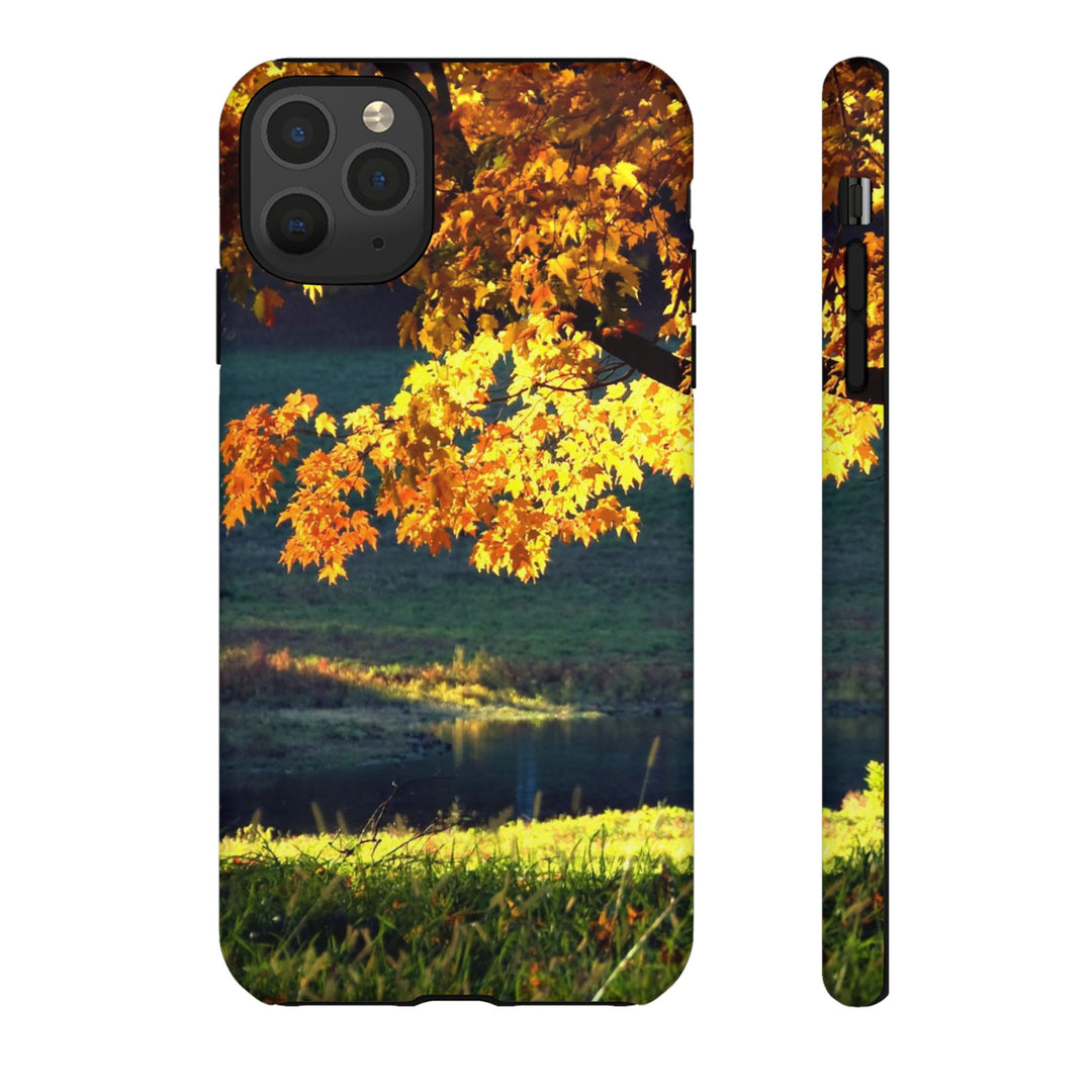 Impact Resistant, Fall Leaves Collage, Cute Phone Cases for Samsung S24, S23, S22, S21, IPhone 15 pro Iphone 14 pro Iphone 13 IPhone 12 Iphone 11 - Studio40ParkLane