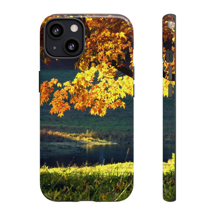 Impact Resistant, Fall Leaves Collage, Cute Phone Cases for Samsung S24, S23, S22, S21, IPhone 15 pro Iphone 14 pro Iphone 13 IPhone 12 Iphone 11 - Studio40ParkLane