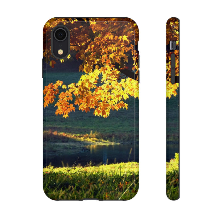 Impact Resistant, Fall Leaves Collage, Cute Phone Cases for Samsung S24, S23, S22, S21, IPhone 15 pro Iphone 14 pro Iphone 13 IPhone 12 Iphone 11 - Studio40ParkLane