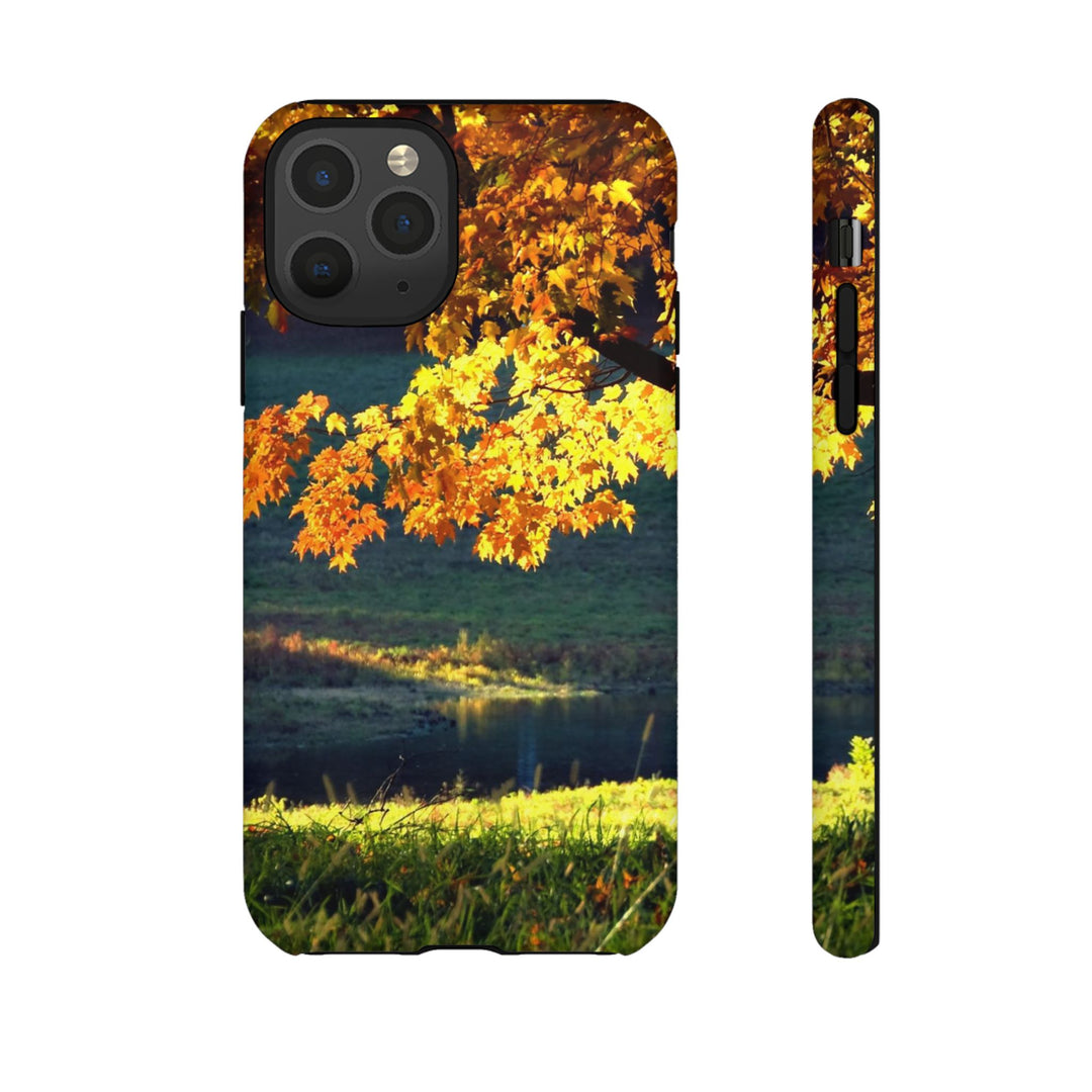 Impact Resistant, Fall Leaves Collage, Cute Phone Cases for Samsung S24, S23, S22, S21, IPhone 15 pro Iphone 14 pro Iphone 13 IPhone 12 Iphone 11 - Studio40ParkLane