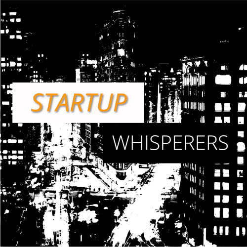 The Startup and Small Business Whisperers - Business and Financial Planning - Web Design - Digital Marketing
